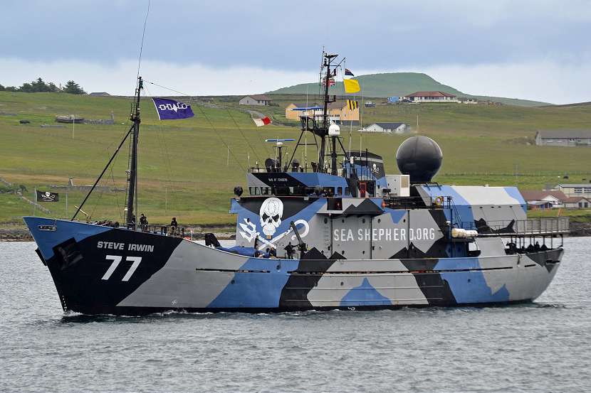 Sea Shepherd Steve Irwin